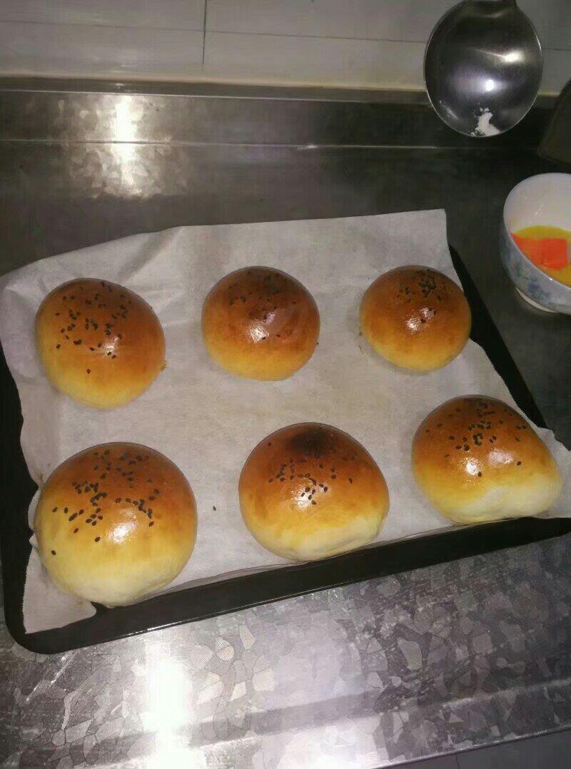 汉堡胚（中种法）