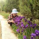 焉耆轩辕烧烤欢迎您