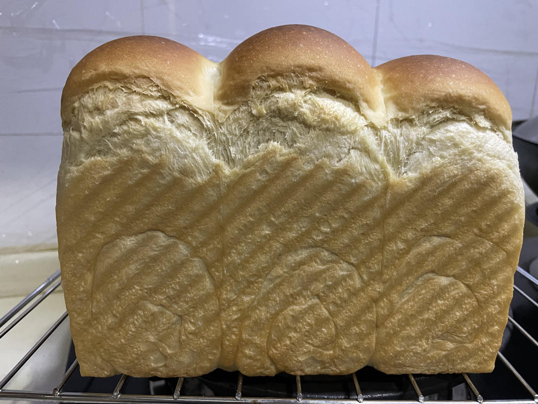 波兰种全麦吐司（40%全麦）