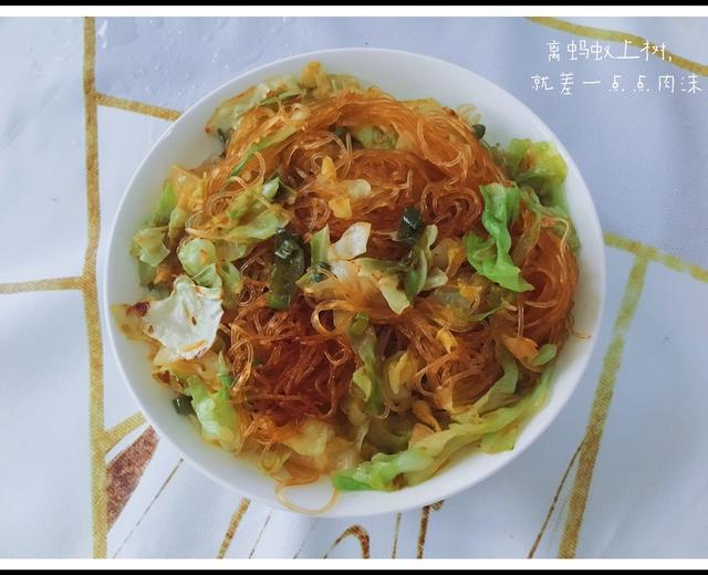 离蚂蚁上树只差一步的粉丝包菜的做法