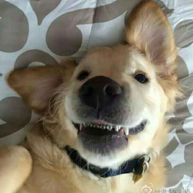 吧嗒嗒