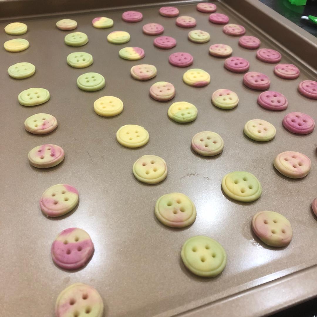 纽扣饼干┃萌到没朋友