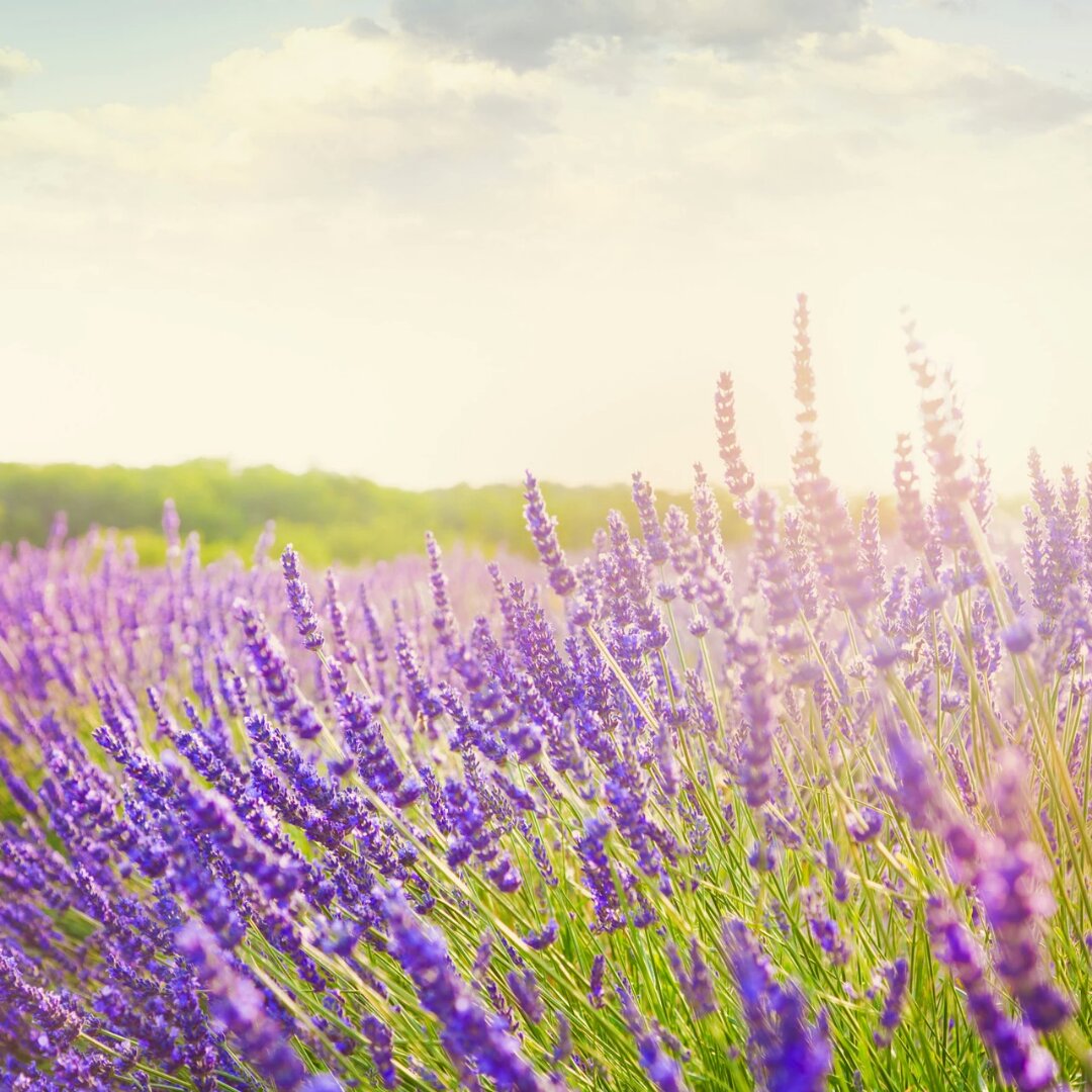 手机用户7511_6058