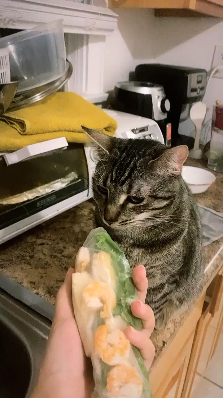 (好吃到停不下來的)正宗越南春卷 Spring Roll