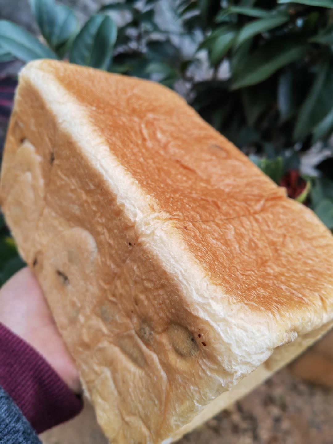 🍞消耗淡奶油吐司｜无黄油｜软绵绵｜奶香浓郁