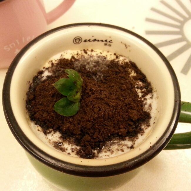 盆栽奶茶