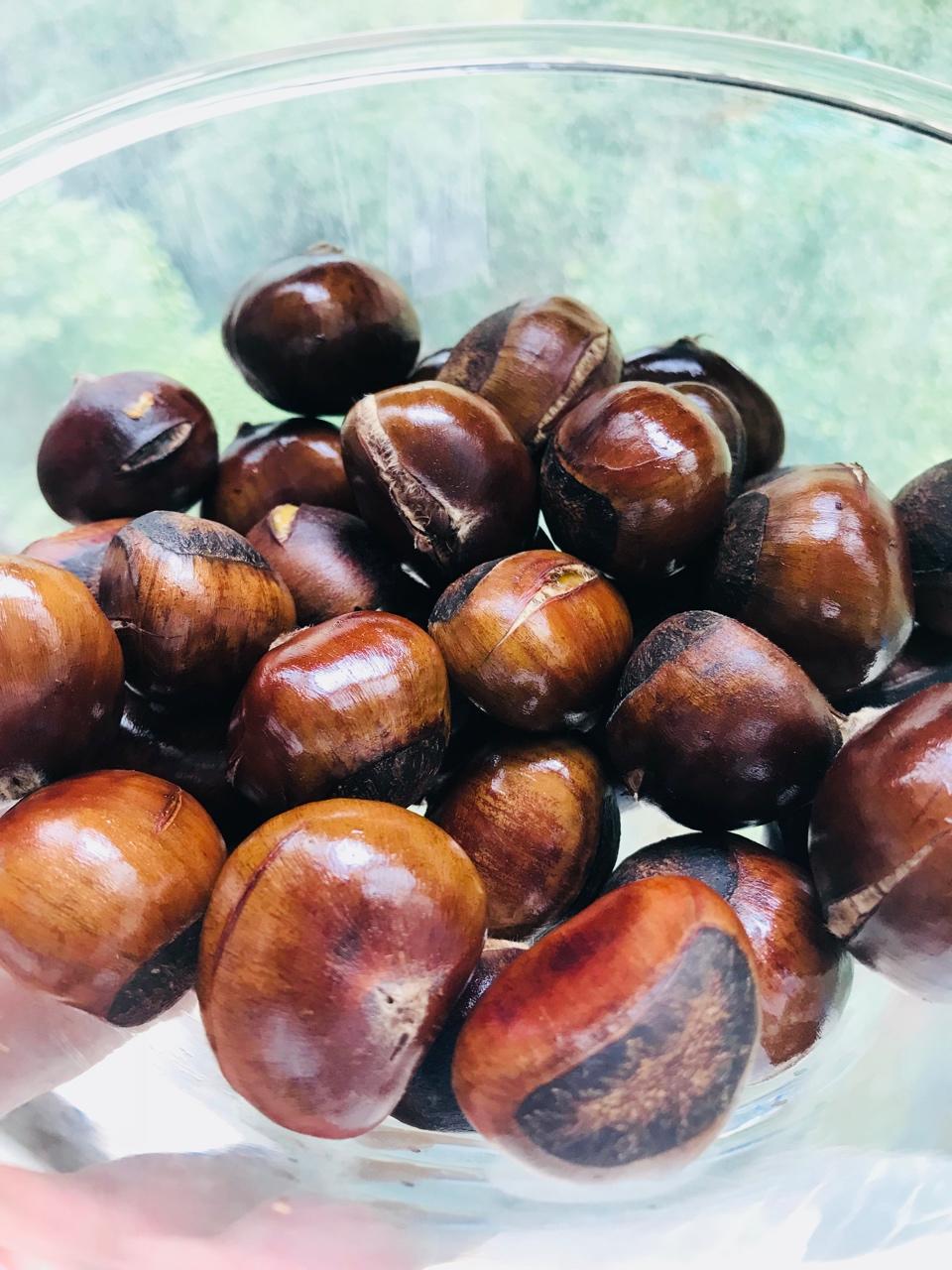 慵懒美丽的栗子