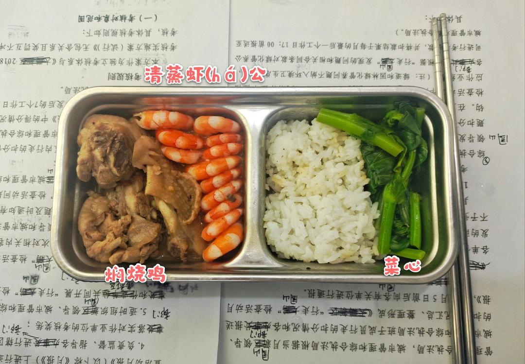 电热饭盒带饭便当系列🍱