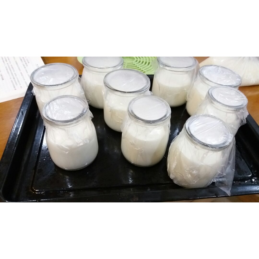 蜗牛麻麻带你去漫步做的烤箱自制酸奶