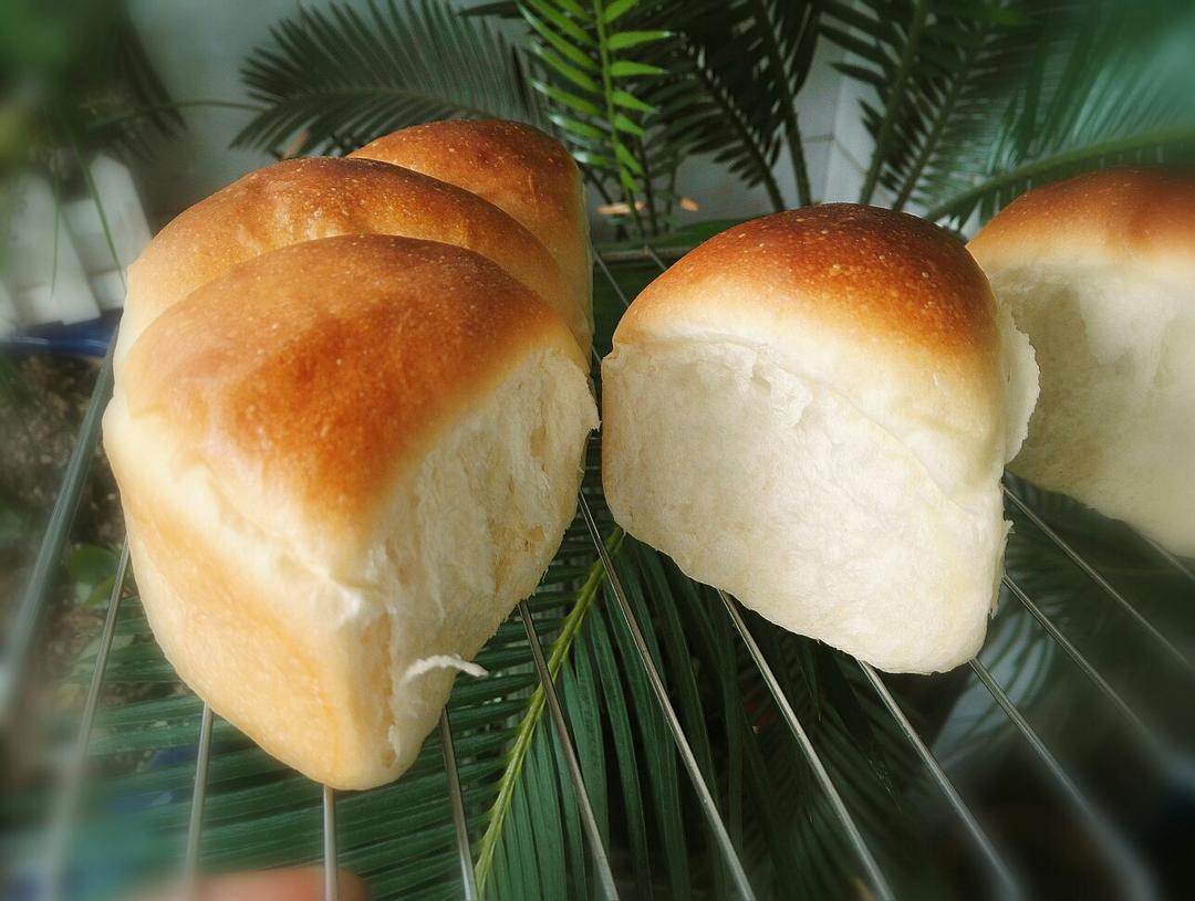 椰浆香软【面包】