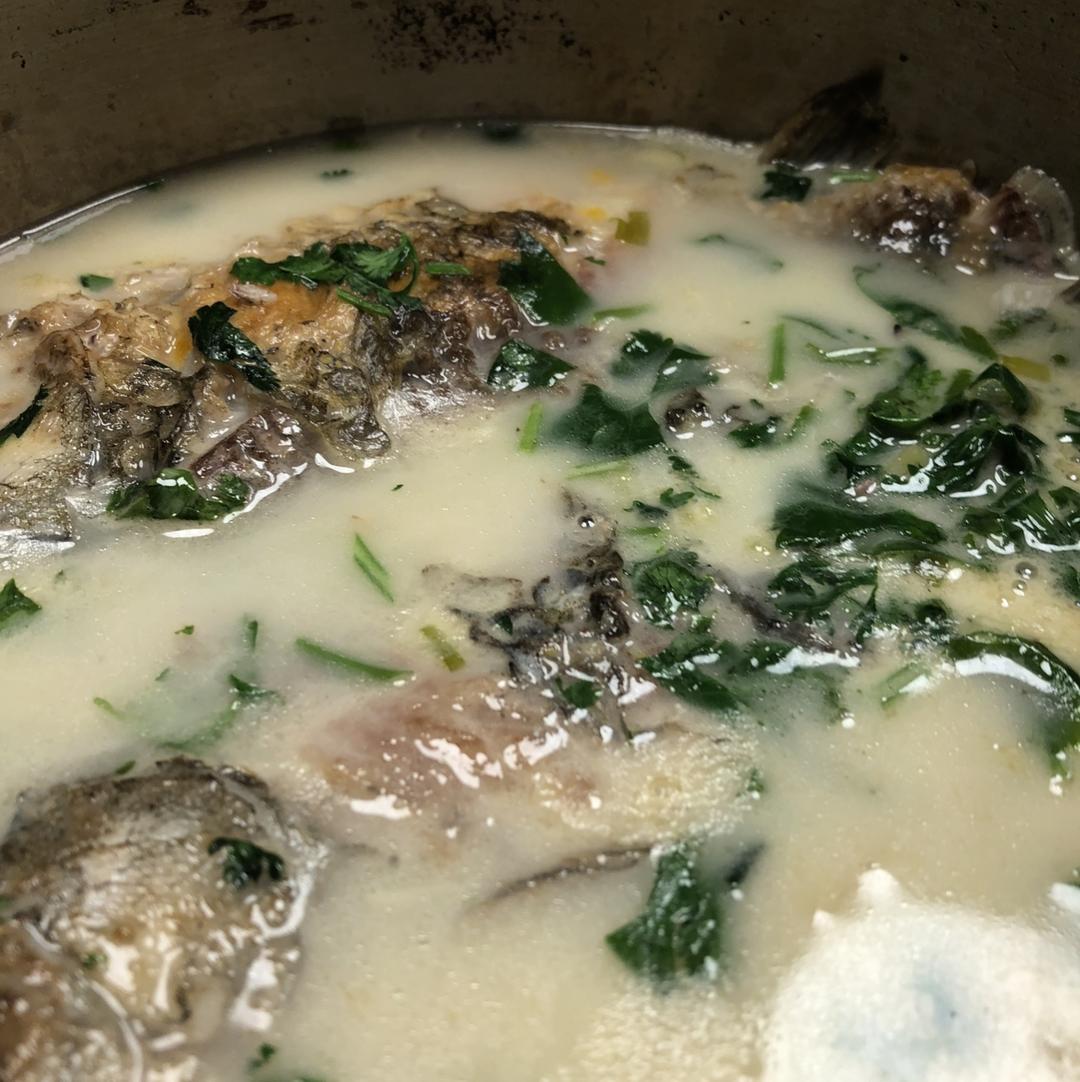 鲫鱼汤