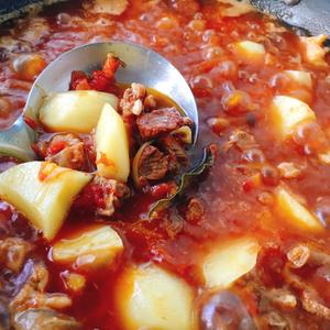 超级下饭的番茄牛腩土豆的做法 步骤9