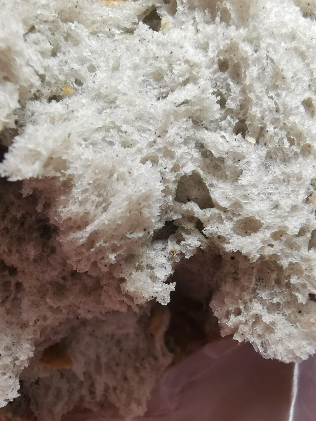 提子土司（柏翠面包机PE6280）自用方子