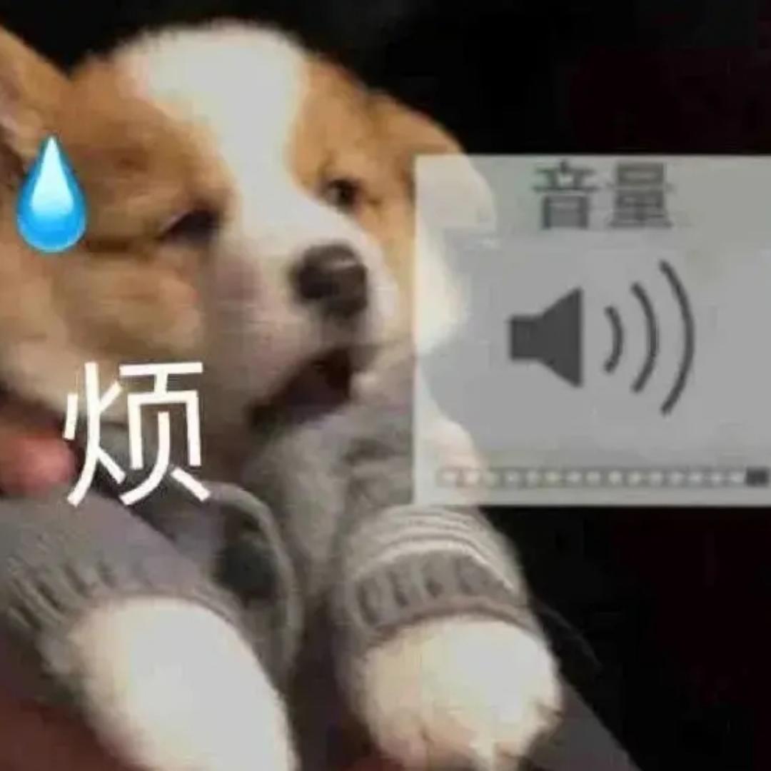 ddpp