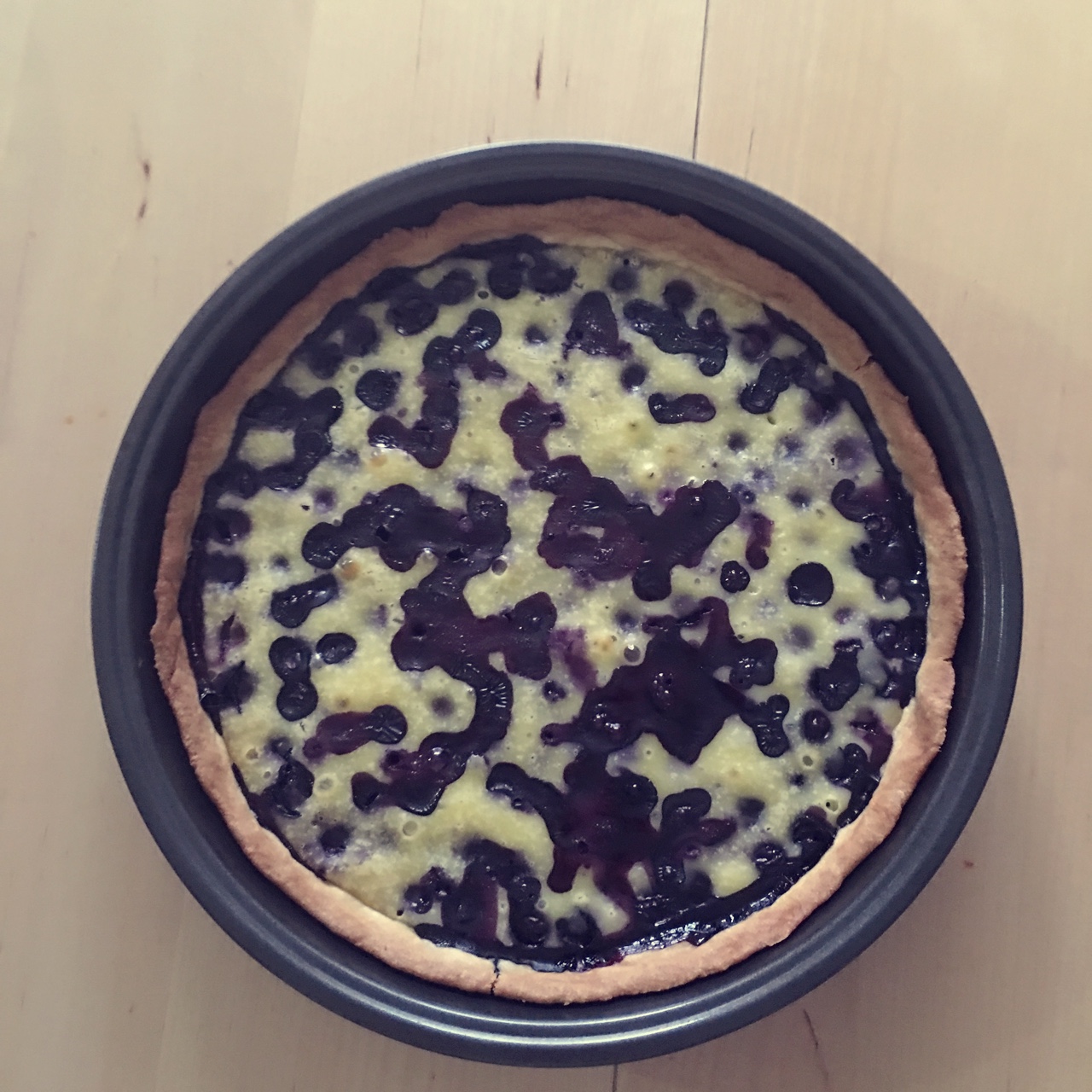 蓝莓乳酪派