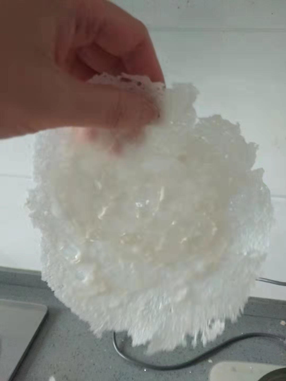 春卷皮