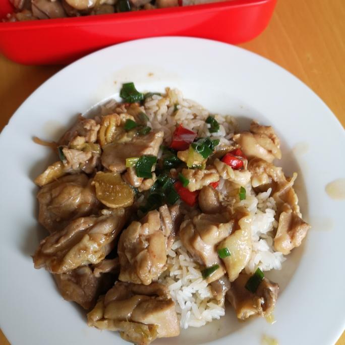新手入门-葱烧鸡盖饭