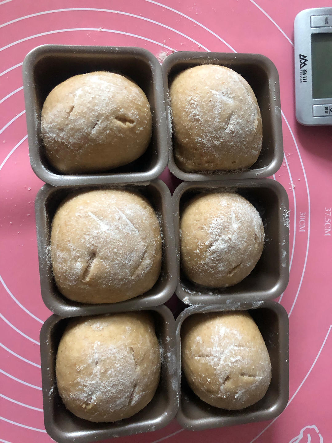 100%全麦奶油面包