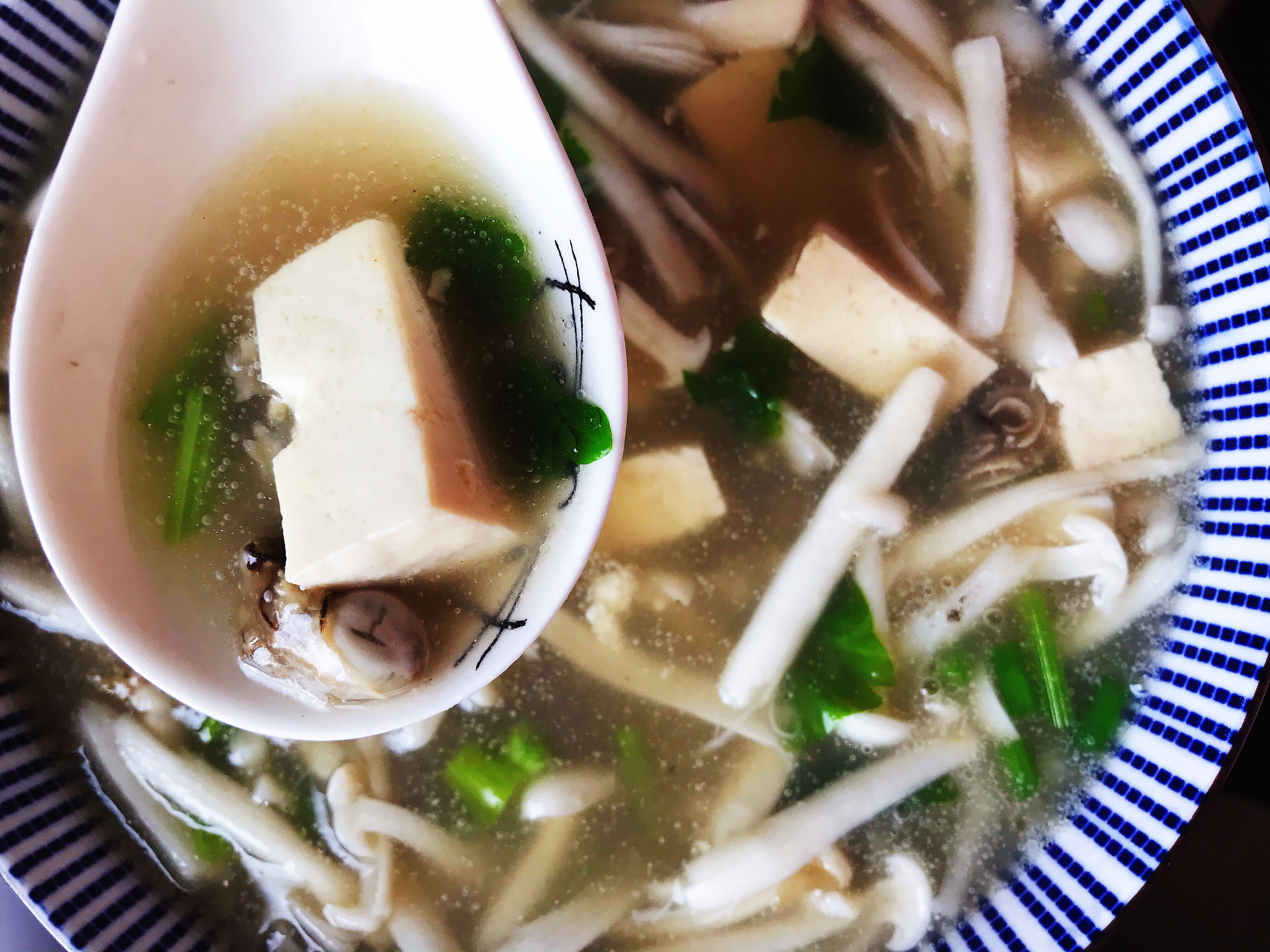 海蛎海鲜菇豆腐汤