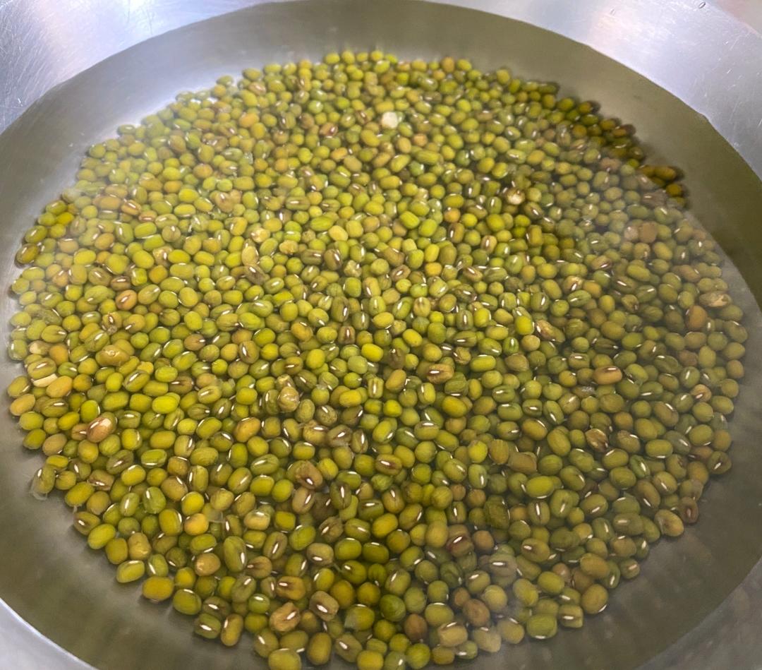 自己在家发豆芽