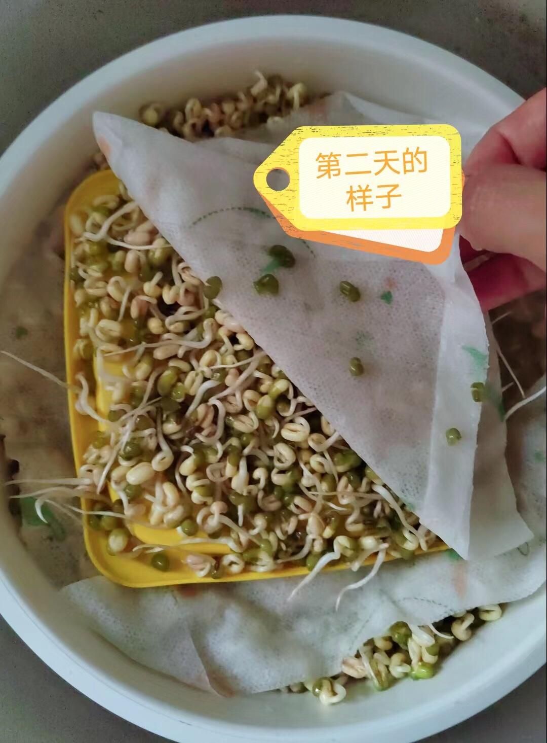 封控在家也能实现豆芽自由的做法 步骤3