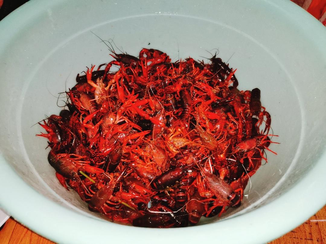 香辣小龙虾-超详细处理干净步骤！