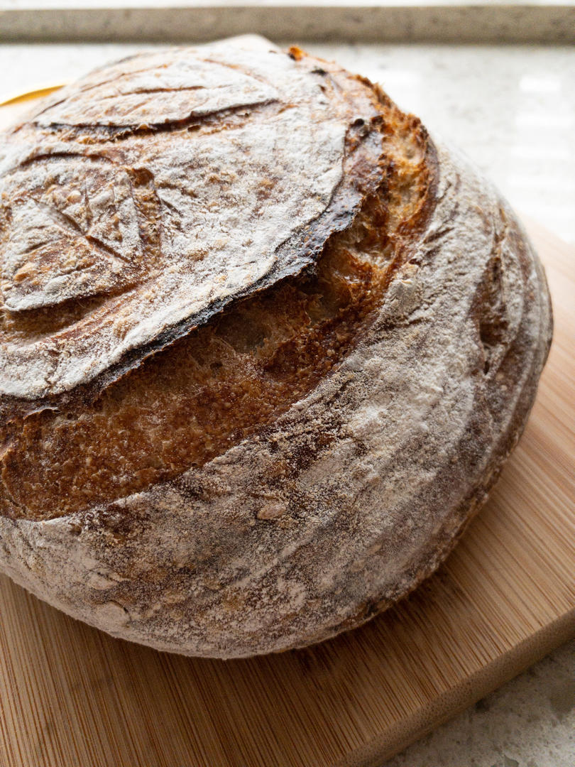 【Tartine Bread】天然酵种基础乡村欧包