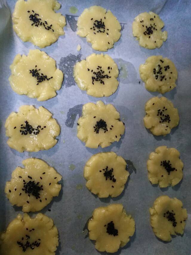 核桃酥 女侠森森