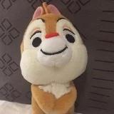 木木小姐爱猪五花