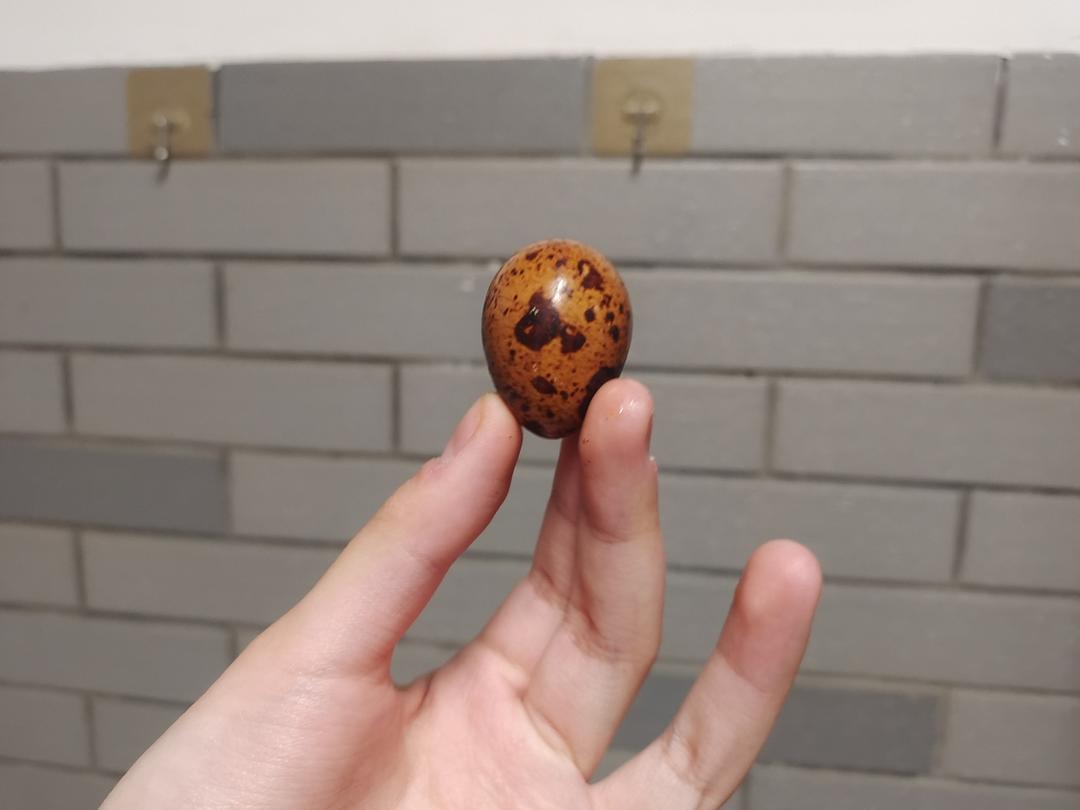鹌鹑茶叶蛋
