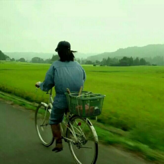 谷米的成都小厨房