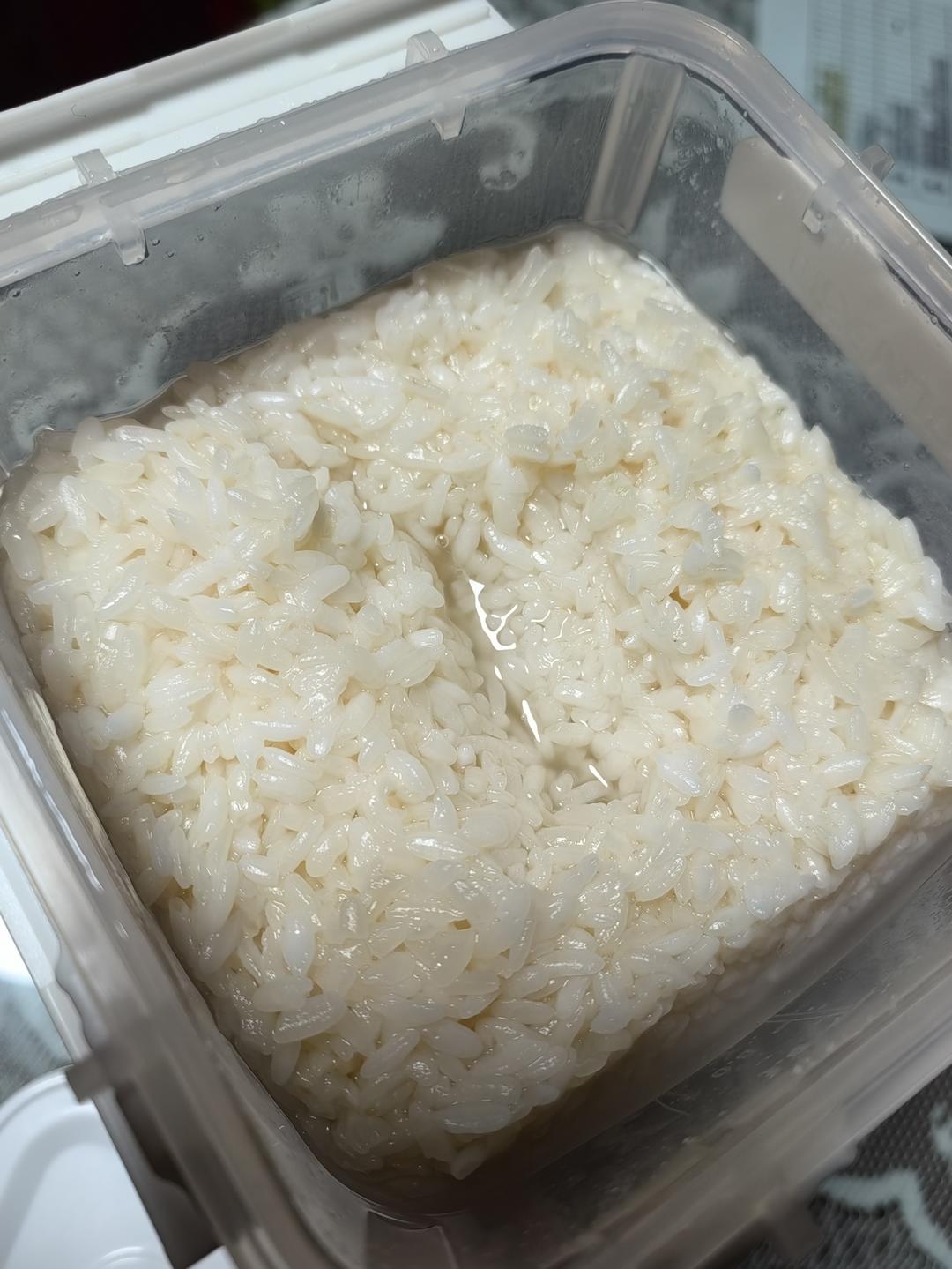 酒酿 (酒酿系列一）