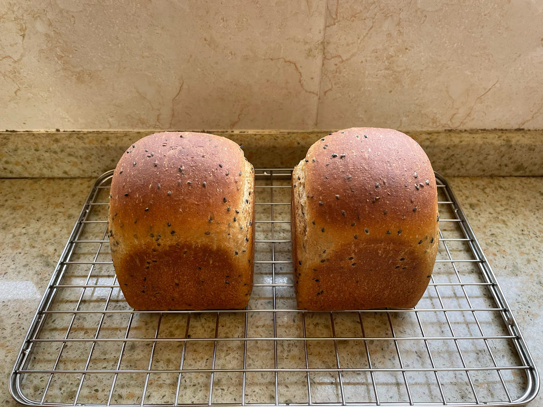 双种芝麻全麦吐司 100%全麦 烫种+波兰种