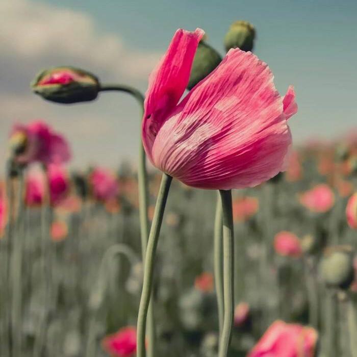 荣烘焙