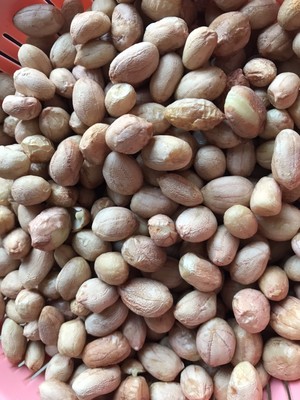 海苔 紫菜花生米的做法步骤图 怎么做好吃 莘菲 下厨房 海苔 紫菜花生米的做法步骤图 怎么做好吃 莘菲 下厨房