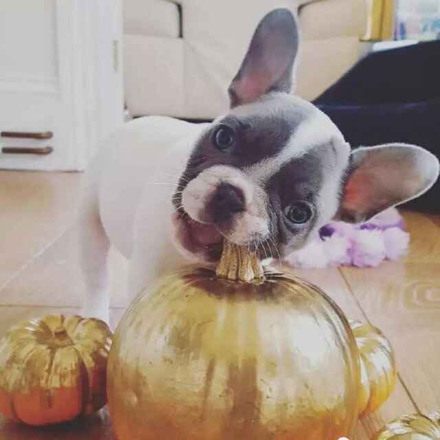 A � 小丸子小姐→_→