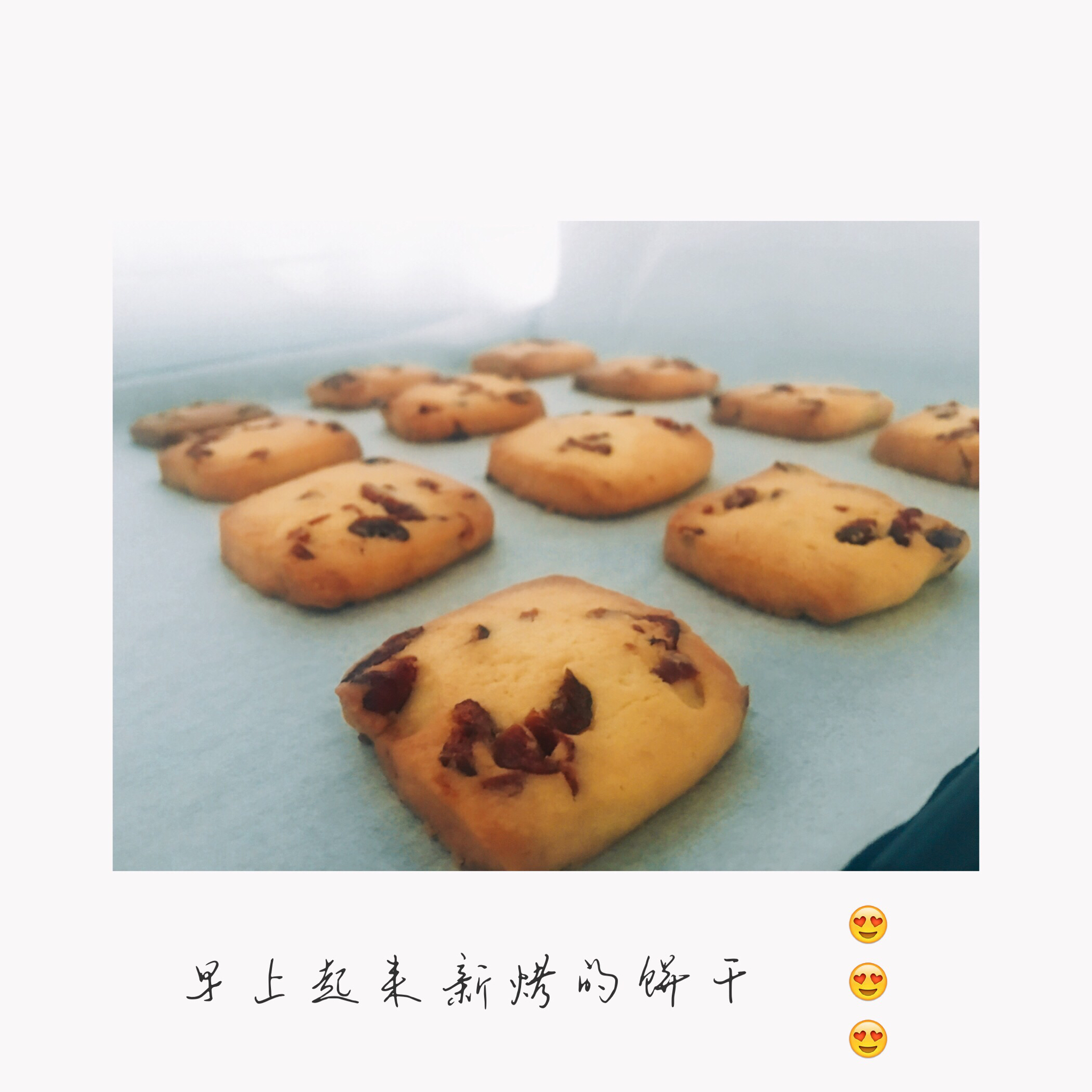 《Tinrry+》蔓越莓曲奇（超简单曲奇配方）