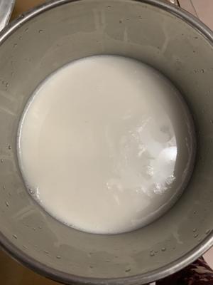椰奶布丁的做法 步骤3