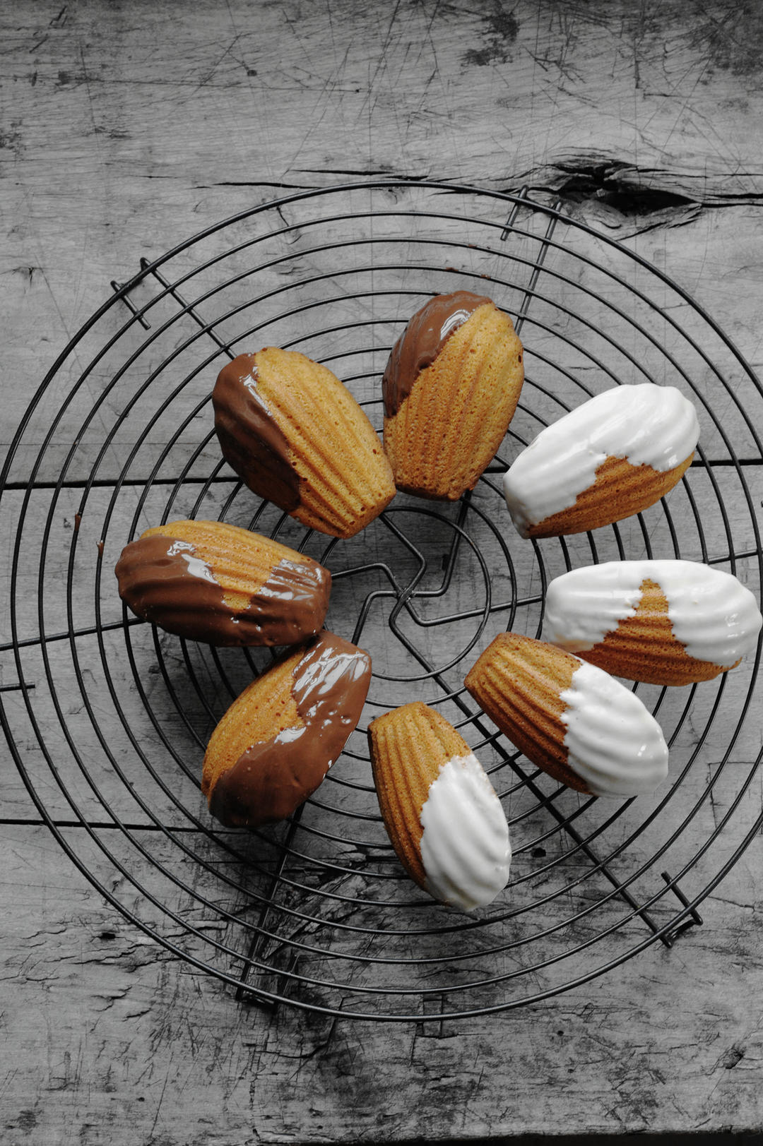 柴田武的焦糖玛德琳蛋糕