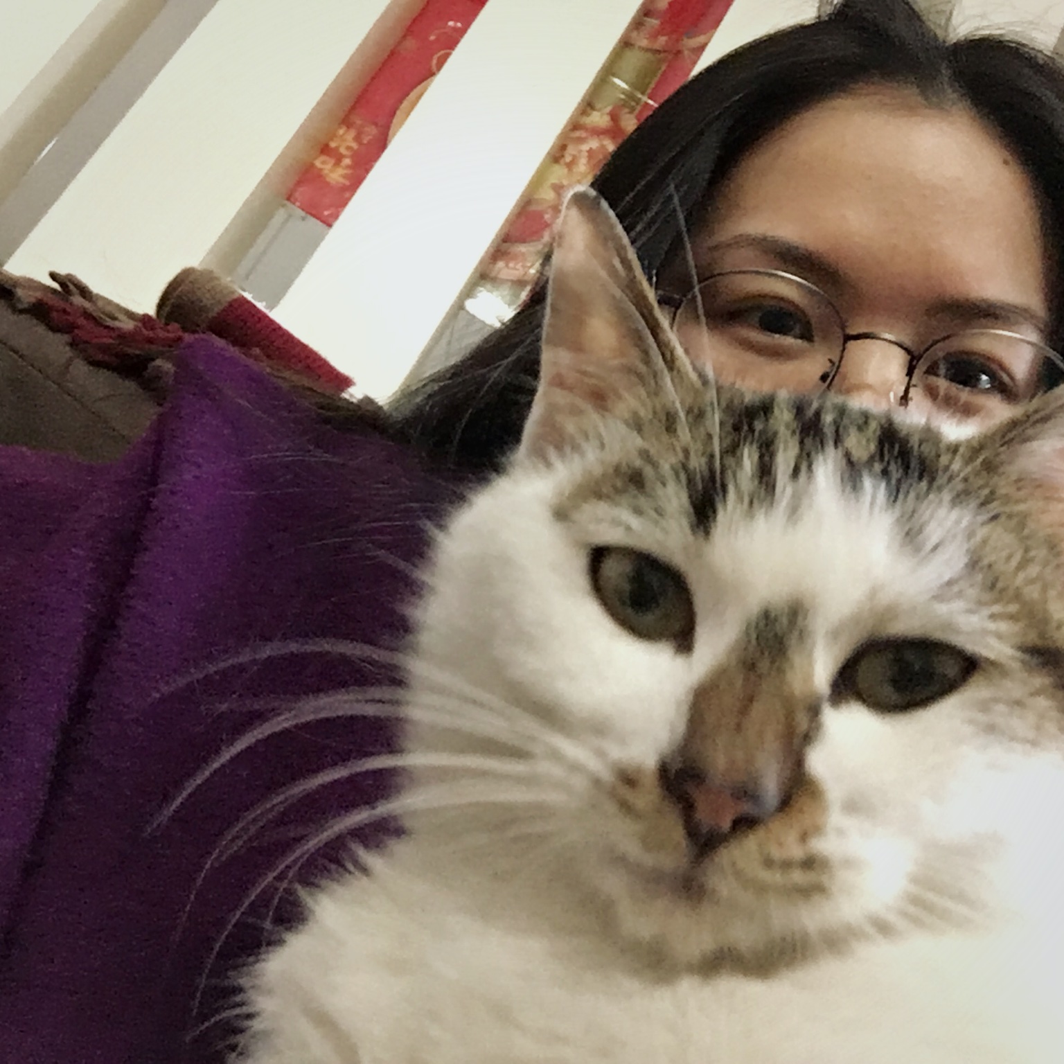 六月六月十二月