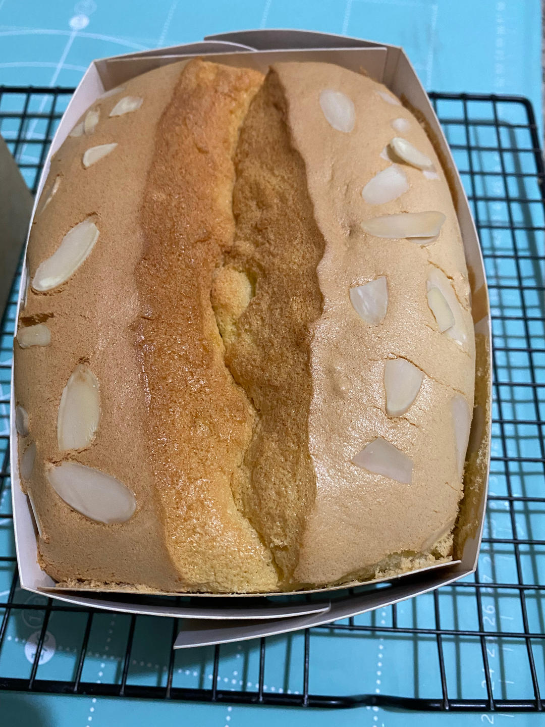 火爆全网的金枕蛋糕