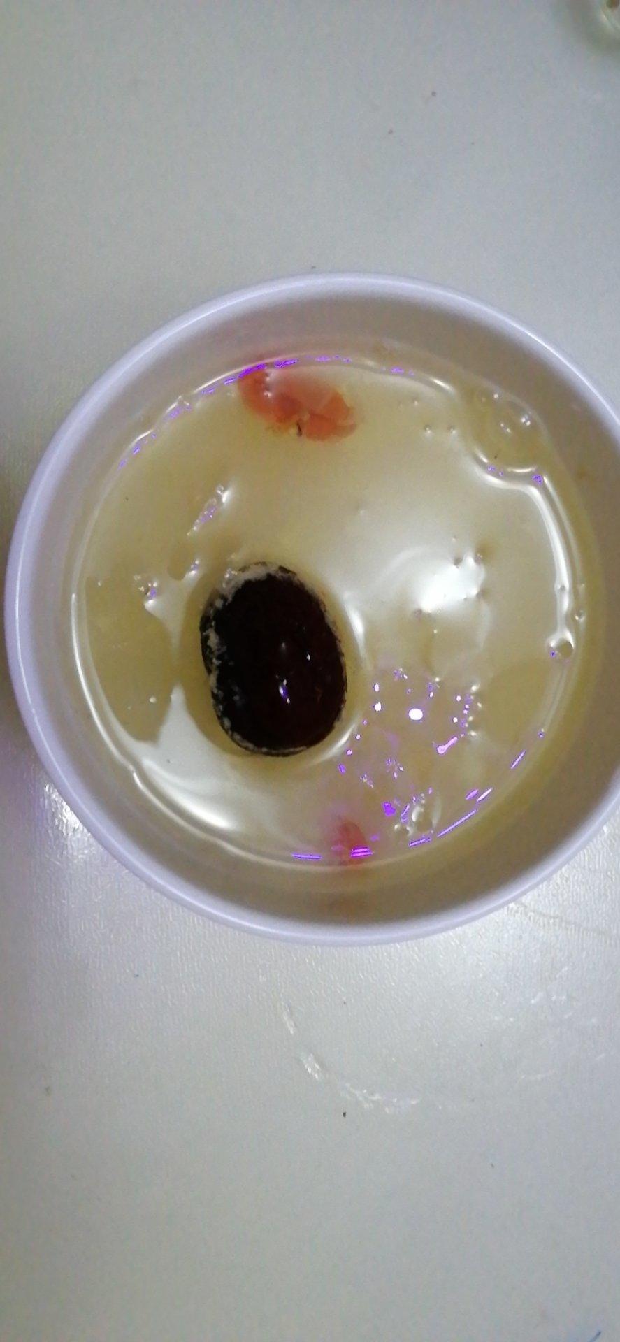 0失败的快速出胶银耳红枣汤（超详细）