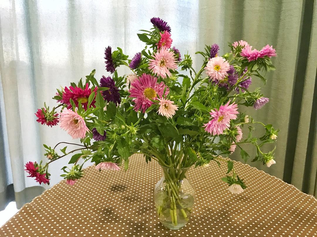 万能的可能--煎炒烹炸煨炖炙烤 粥粉面饭汤羹饼糕