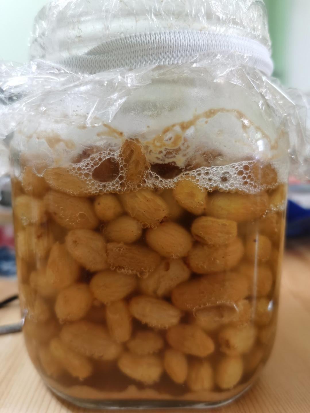 面包天然酵母培养使用全攻略                                           （葡萄天然酵种）