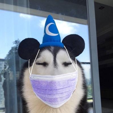 小海厨艺进阶