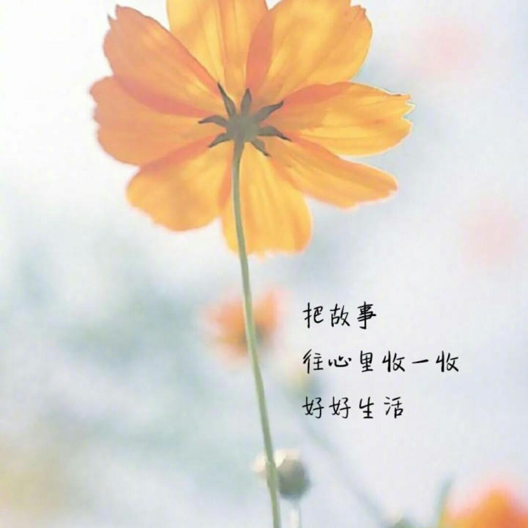柠檬阿嘉