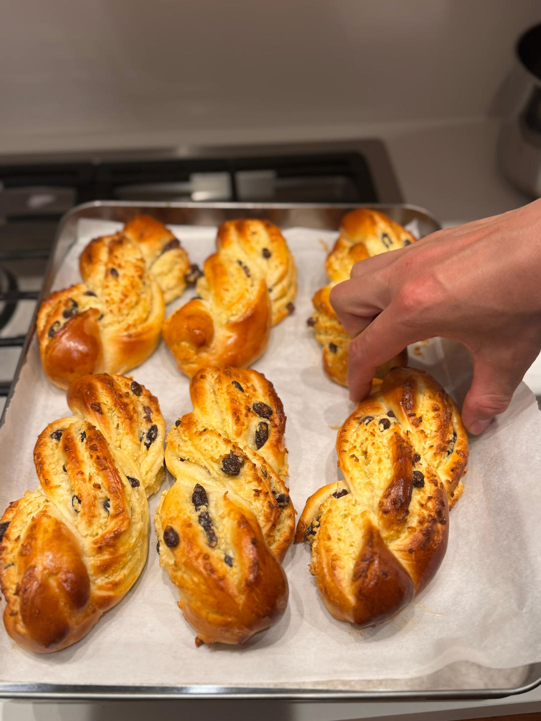 这面包也太香了，新手也能轻松做出来的椰蓉提子卷！