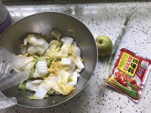 家庭版方便快手朝鲜辣白菜的做法 步骤1