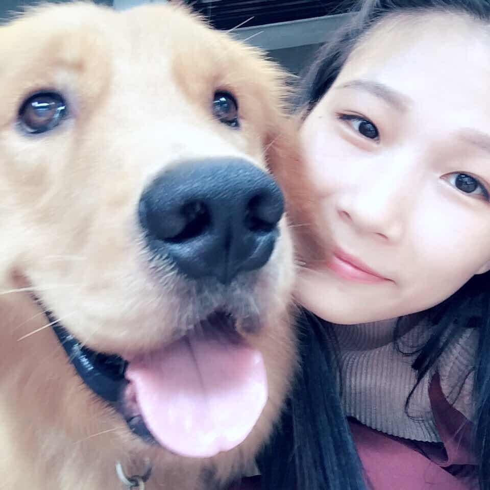 你是猪头咩