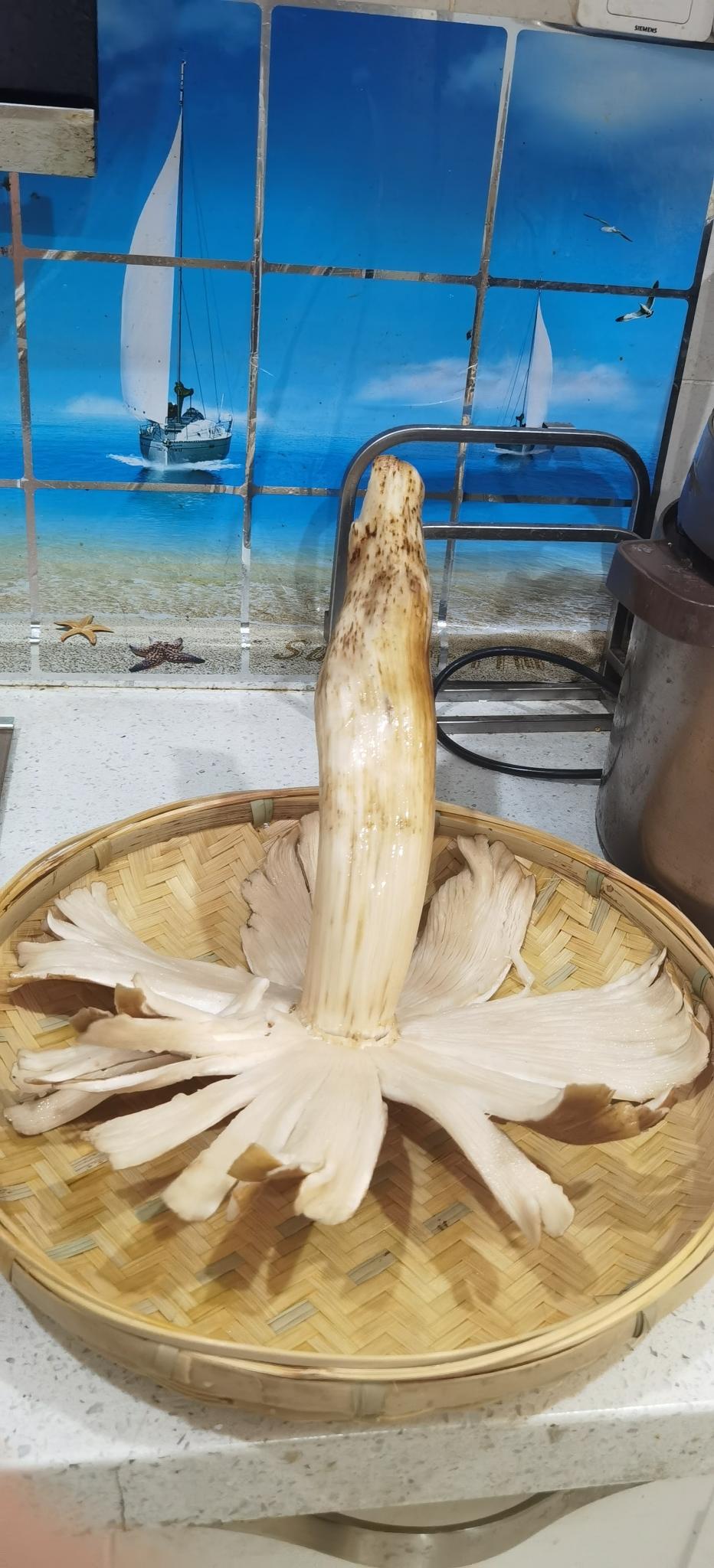 大自然的馈赠野生鸡枞的做法